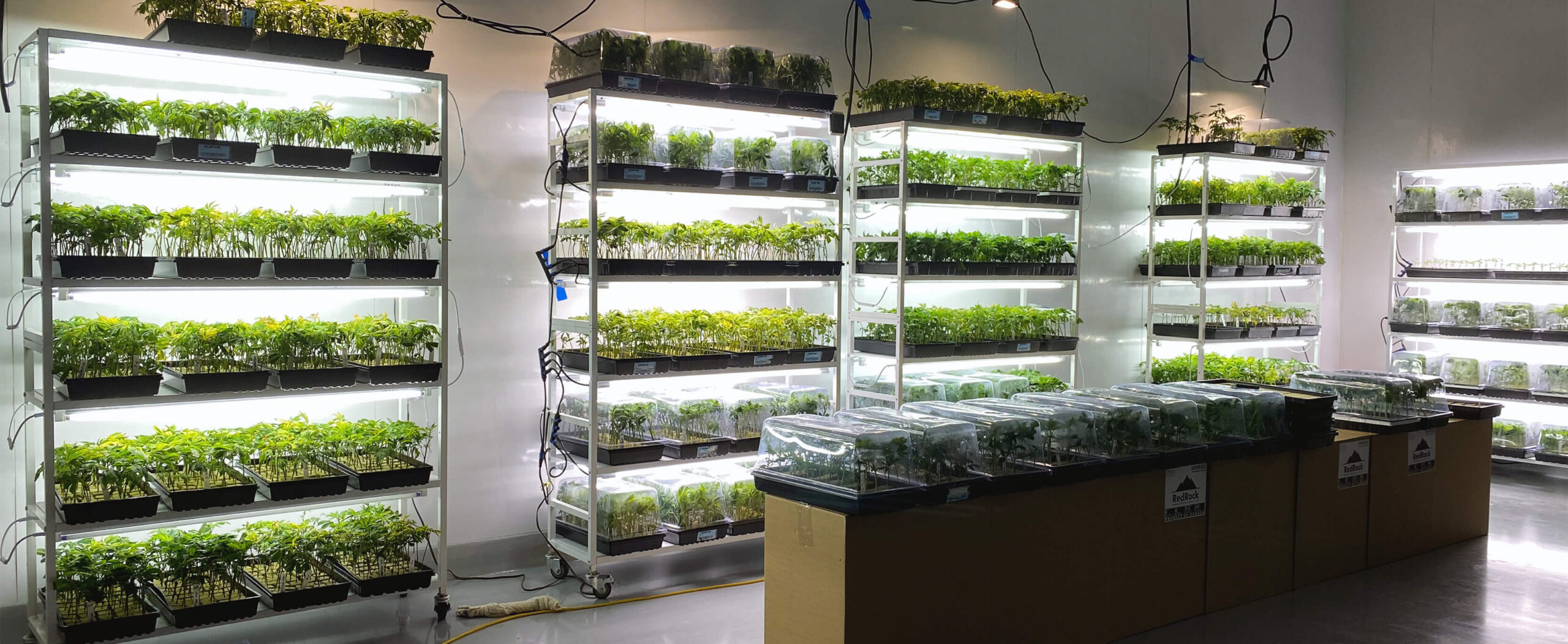 RedRock Block Now Manufacturing Stonewool Starter Plugs