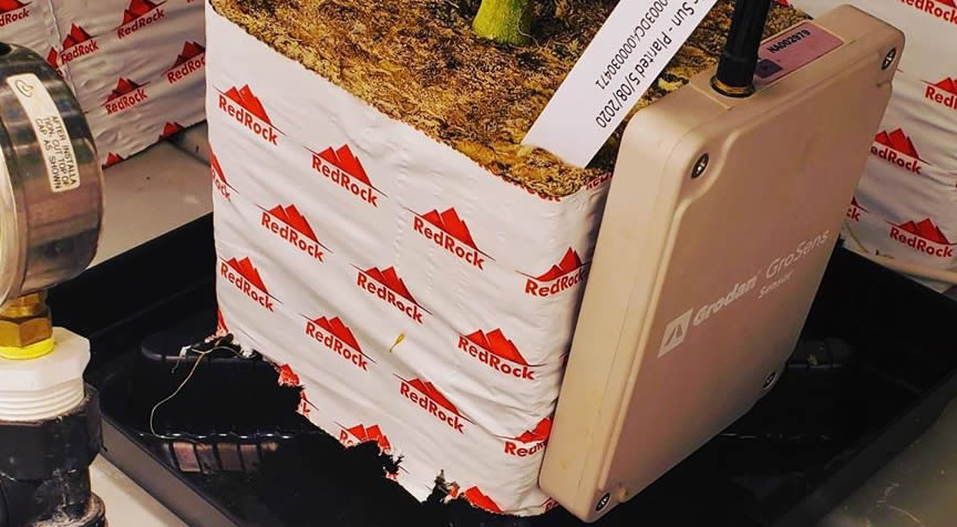 Managing EC in Stonewool Grow Media