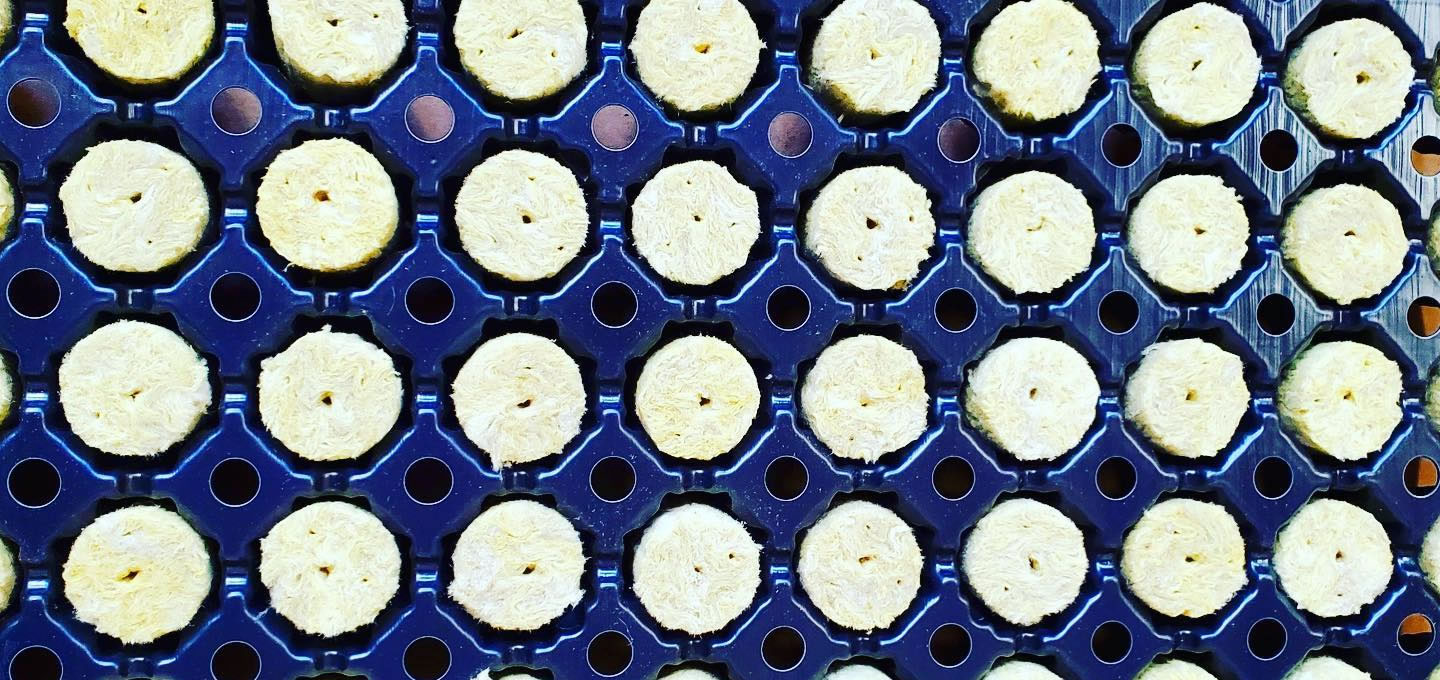 New Line of Starter Trays Available at RedRock Block