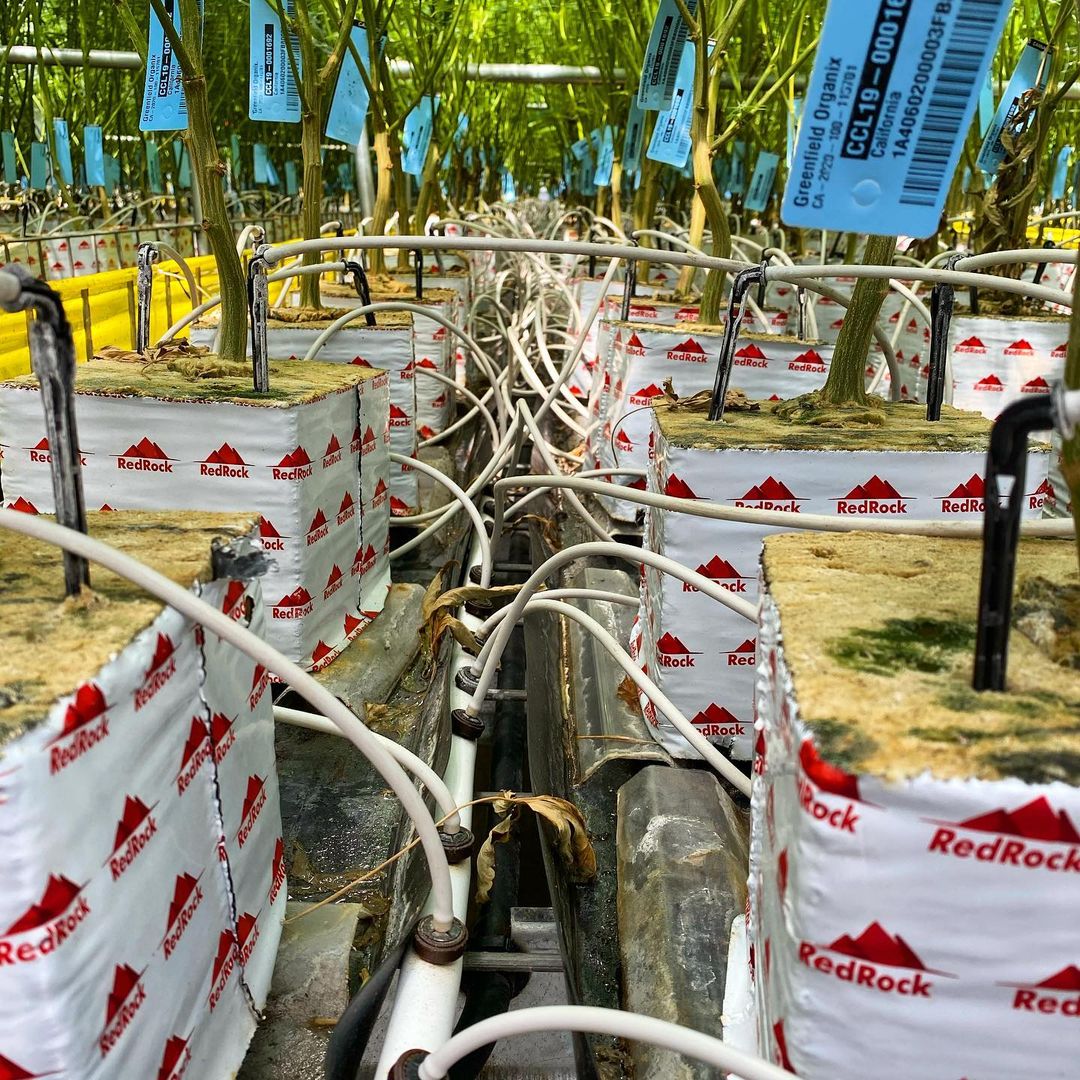 Commercial Hydroponics