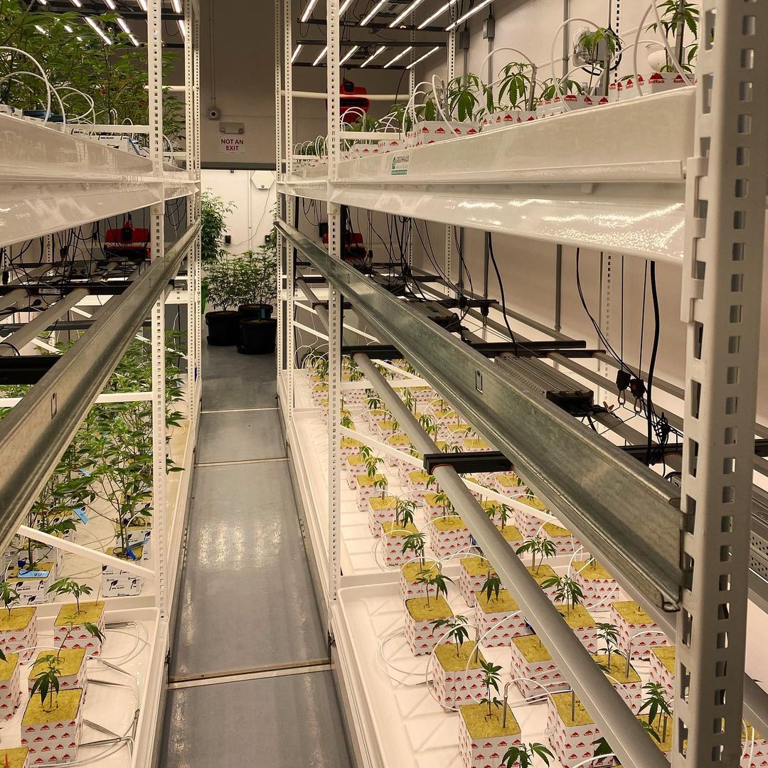 Propagation & Nurseries