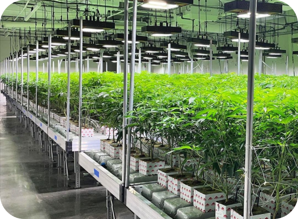 Grow Block