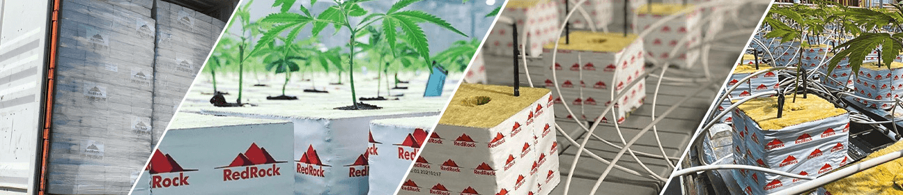 Exploring Our Product Collection