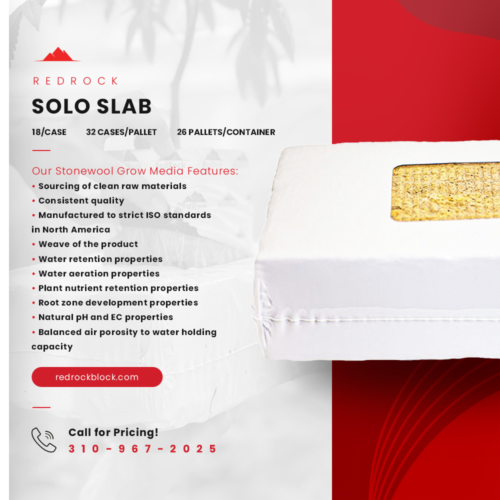 Solo Slab