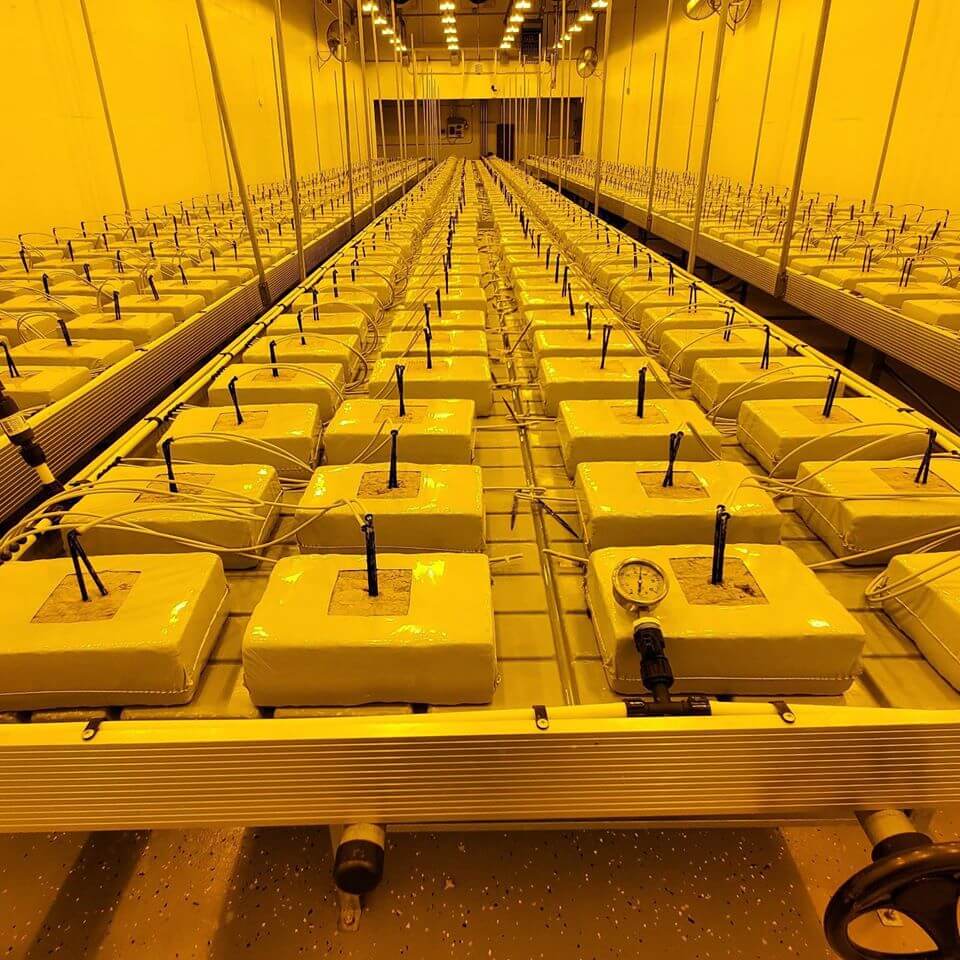 stonewool-rockwool-flowering slabs