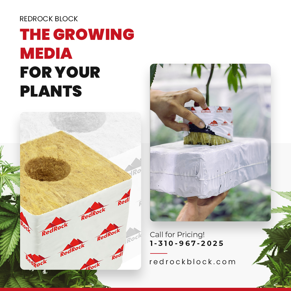 solo-grow-slabs