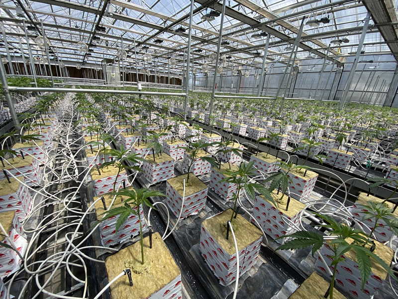 stonewool-blocks-drip-irrigation-systems
