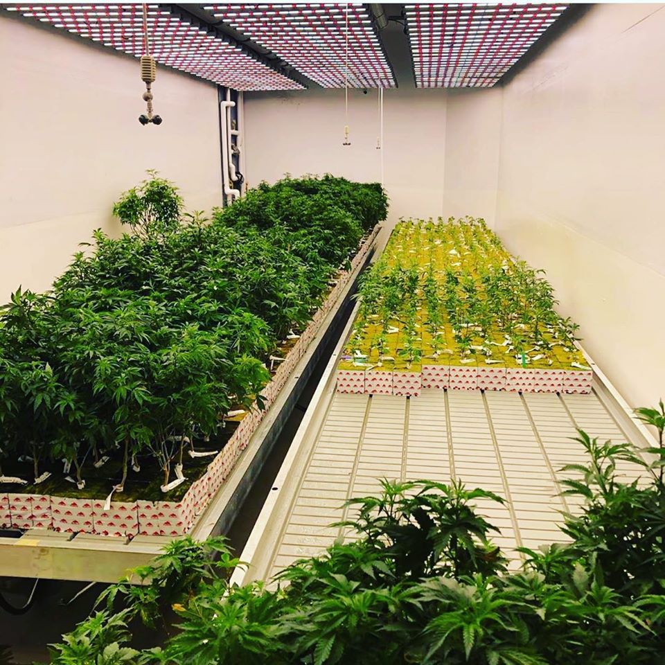 stonewool-container-grow-op