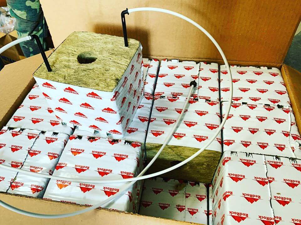 stonewool-for-hydroponics